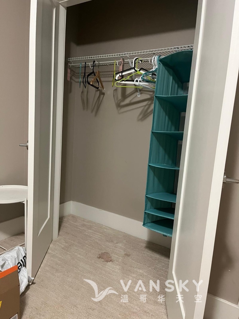 260124175302_607 nicola - shared1.jpg